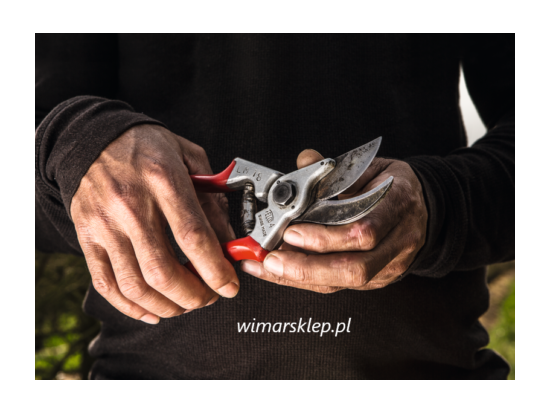 Felco 4 – Standardmodell