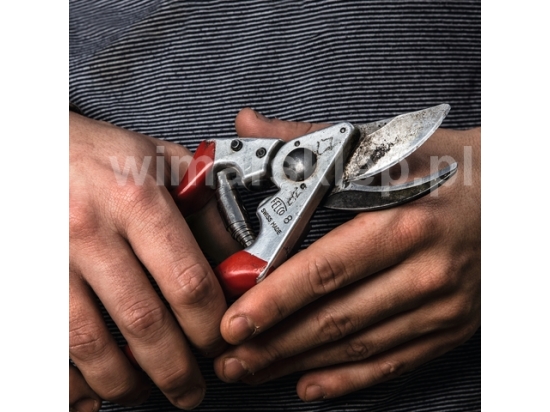Felco 8 – eine präzise und leistungsstarke Gartenschere für besondere Aufgaben