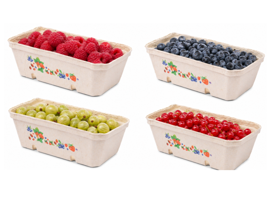 Obstschale aus Zellstoff 400g, mit Aufdruck, Karton 420 Stück