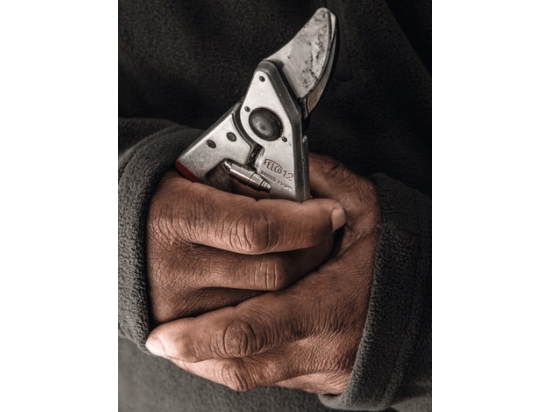 FELCO 12 – Gartenschere mit drehbarem Griff, Größe M