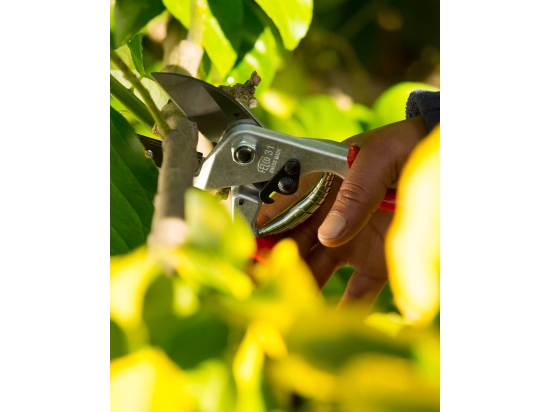 Felco 31 – Amboss-Gartenschere