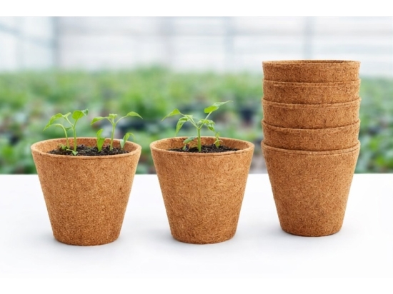 Biologisch abbaubarer Kokos-Blumentopf, Durchmesser 11 cm, 1 l, zum Aussäen, 10 Stück