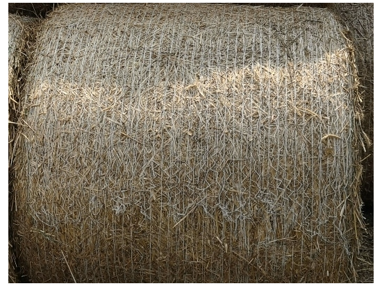 Protector Eco-Ballenwickelnetz, 123 cm x 2000 m