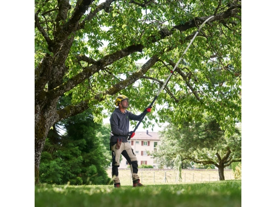 FELCO-Teleskopsäge 682 / 207–304 cm