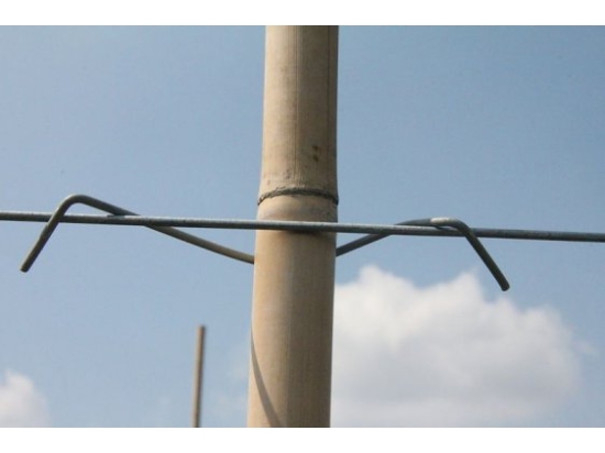 stebofix 21 cm für Stangen, Pfähle, Bambus, 750 Stück