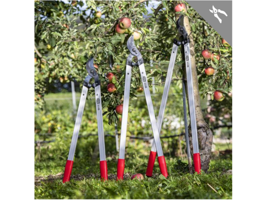 Felco 221 Zweihand-Gartenscheren – neue Serie
