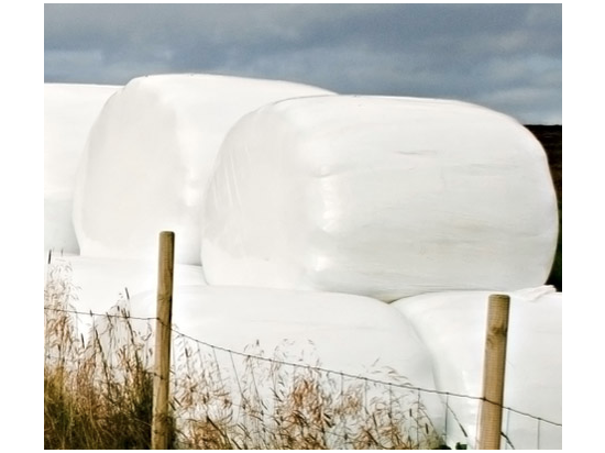 ASPLA EcoPlus Heusilagefolie, 500 mm x 2000 m, weiß, 7-lagig