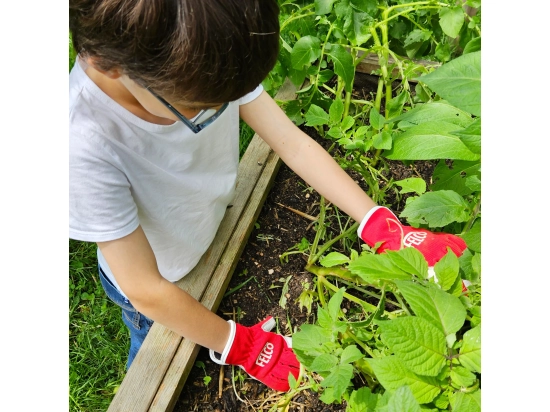 FELCO KIDS 720 Arbeitshandschuhe für Kinder im Alter von 8–10 Jahren, Schutzhandschuhe