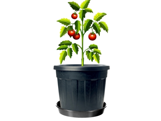 Set mit 5 x 4,5-Liter-Pflanztöpfen für den Anbau + Untersetzer (18 cm)