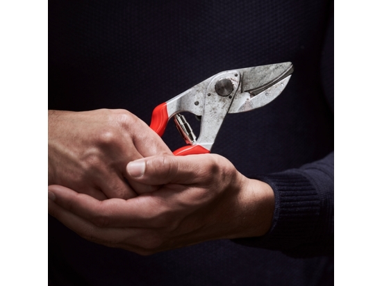 FELCO 32 – Präzisions-Amboss-Gartenschere