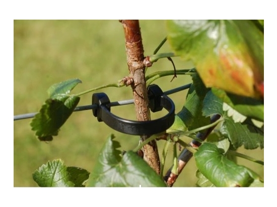 10 cm langer Multiklips zum Befestigen von Bäumen mit Draht