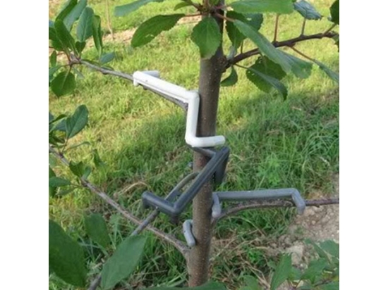 Klammern zum Formen von Baumkronen, Formklammer