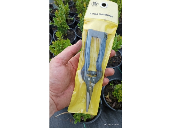 Garten- und Schnittzange für Weintrauben, Kräuter und Blumen Due Buoi 1145/17,5