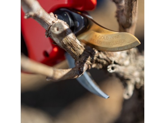 Elektrische Rebschere  FELCO 834V  mit 34-mm-Klinge „F-Gold“ für Weintrauben, mit Sicherheitssystem „CUT Shield“