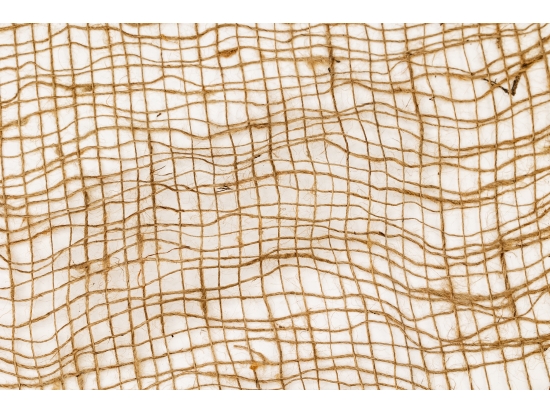 Jute für Baumschulen, auf einer Rolle, 100 m x 70–120 cm