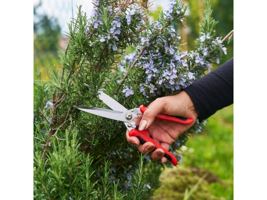 FELCO 456 Universalschere für Kräuter und Blumen