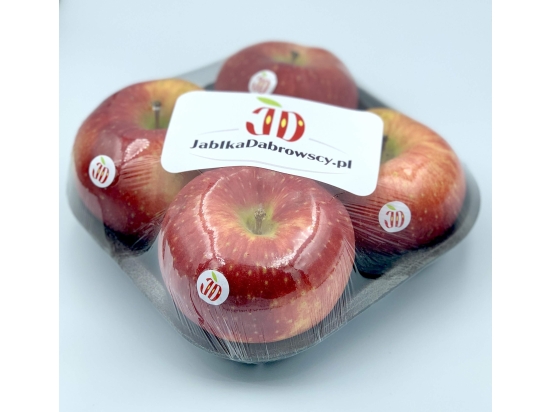 Graues Formteil aus Zellstoff: 4 Früchte – Äpfel, Tomaten