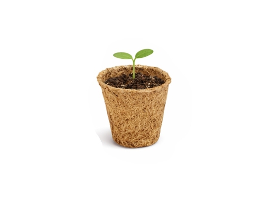 Bio-Kokos-Pflanztöpfe zum Aussäen und Pikieren, Durchmesser 5 cm, 100 ml, 50 Stück