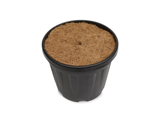Wimar-Kokos-Pflanzscheibe: 24 cm große Schutzscheibe mit Mulchfunktion für 5–9-Liter-Töpfe