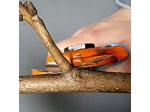 Due Buoi 132/20 Doppelschneidklingen-Obstbaumschere