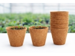 Biologisch abbaubarer Kokos-Blumentopf, Durchmesser 11 cm, 1 l, zum Aussäen, 10 Stück