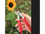 Die ergonomische und vielseitige Gartenschere Gielle GL000