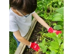 FELCO KIDS 720 Arbeitshandschuhe für Kinder im Alter von 8–10 Jahren, Schutzhandschuhe