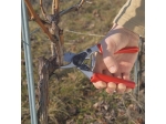 FELCO 12 – Gartenschere mit drehbarem Griff, Größe M